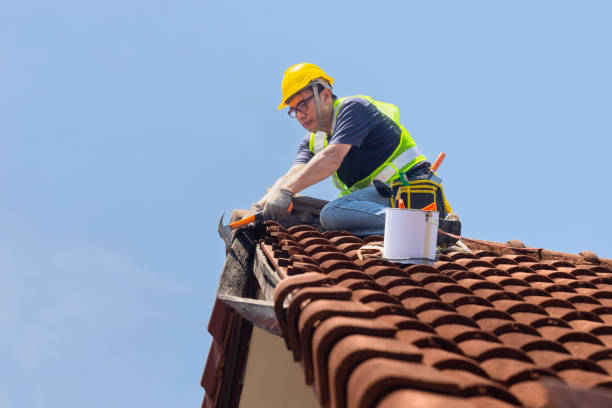 Best Skylight Installation and Repair  in Blanding, UT